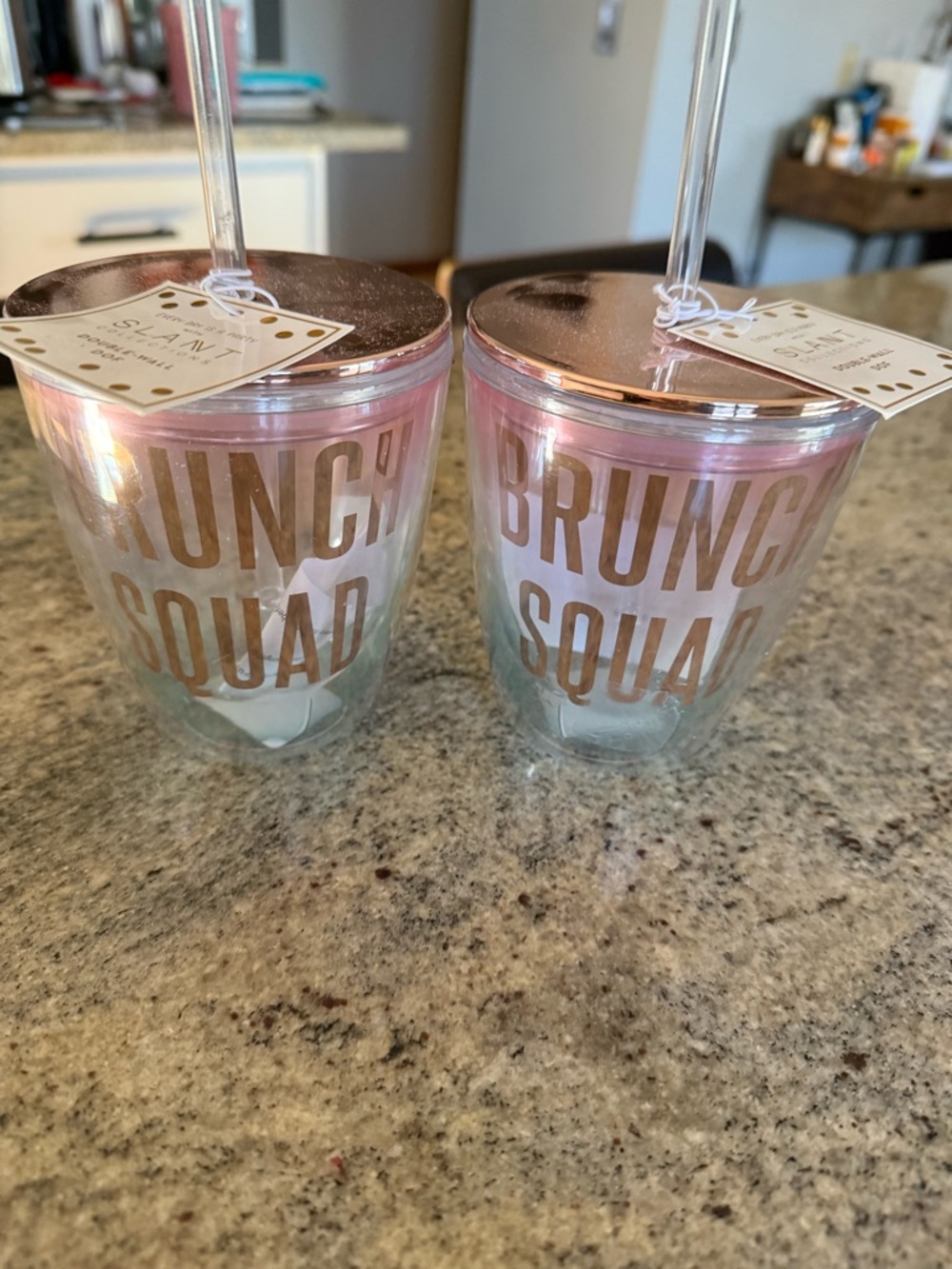 Two Pink/rose gold  "Brunch Squad" Double-Wall Tumbler with Straw